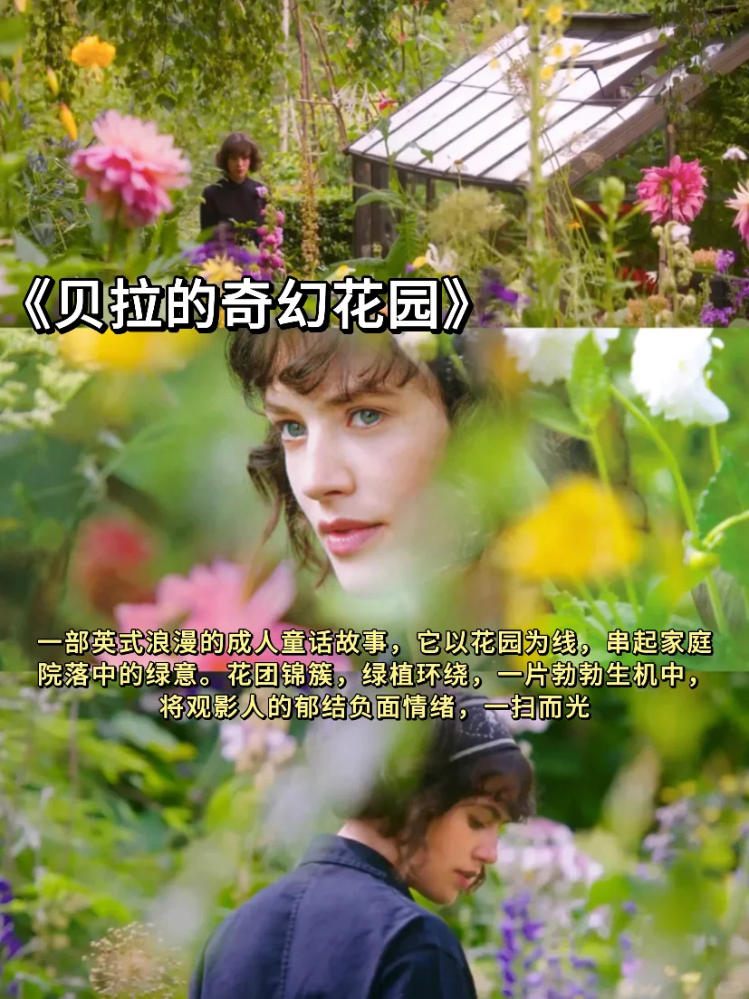 🍃春日影单 | 把春天装进屏幕