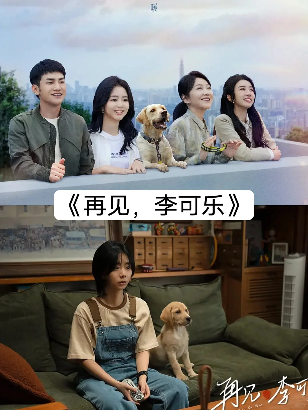 十一部意难平电影推荐