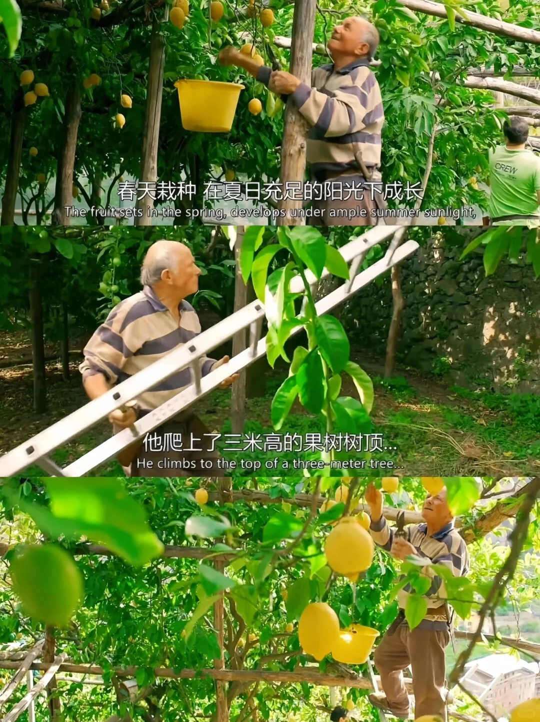 这是我见过最美的电影❗没有之一