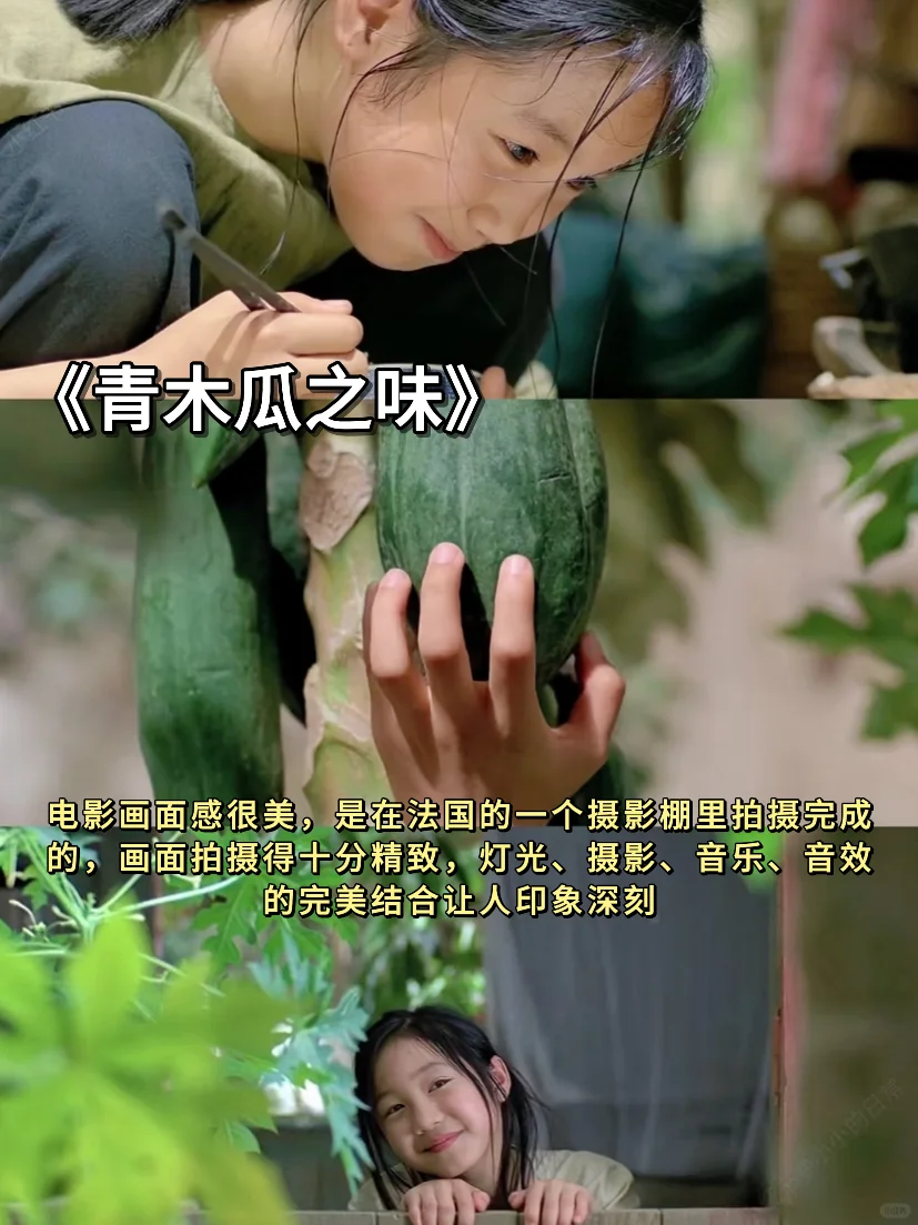 🍃春日影单 | 把春天装进屏幕