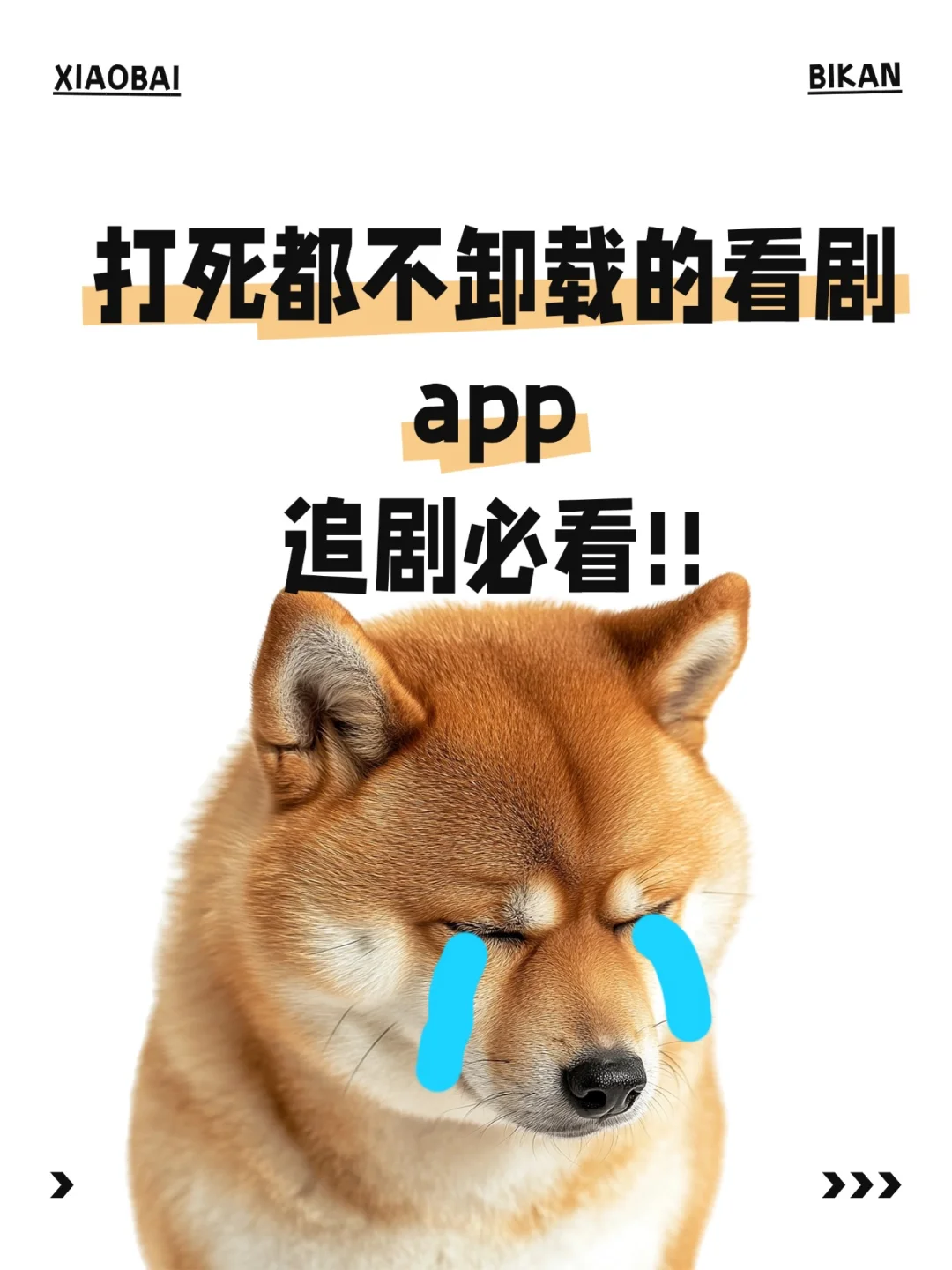 绝！免费看剧软件 app 热剧刷不完🎈