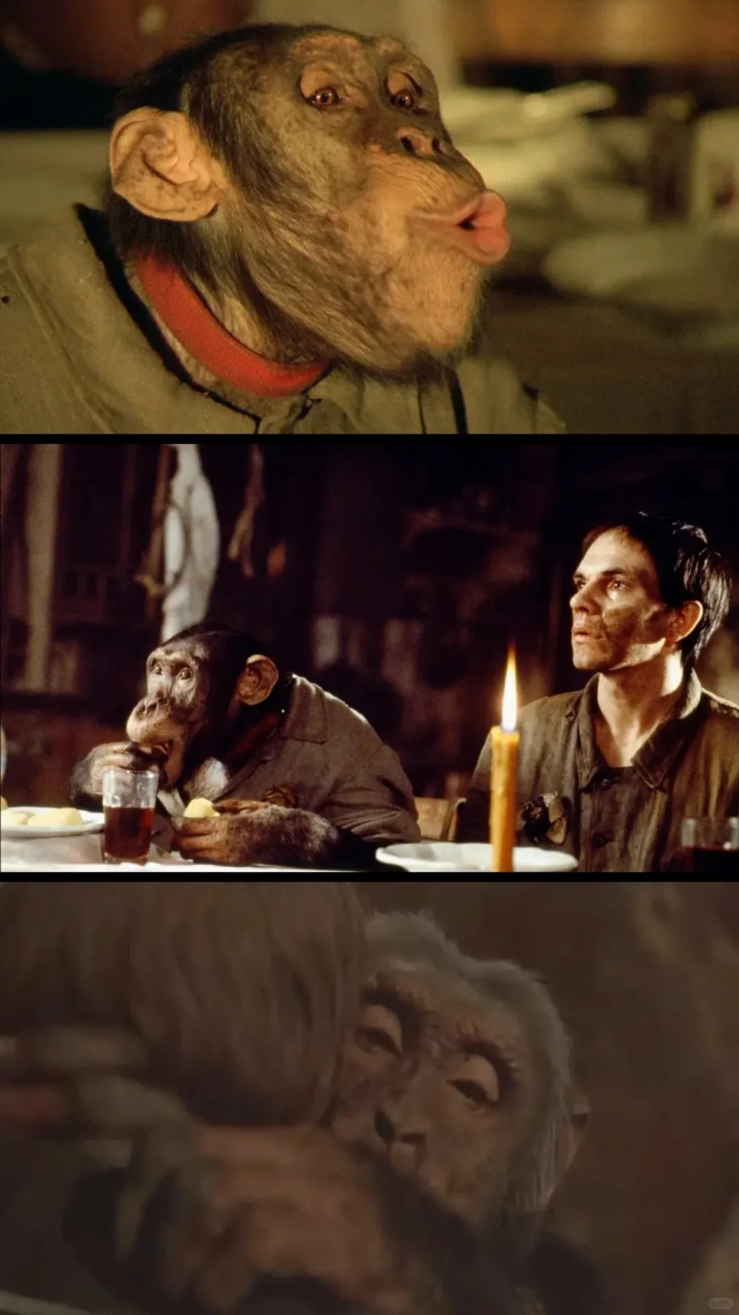 地下：比电影更荒诞的是历史