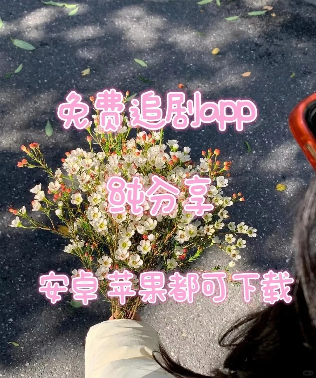 学生党的福音，免费追剧看剧！