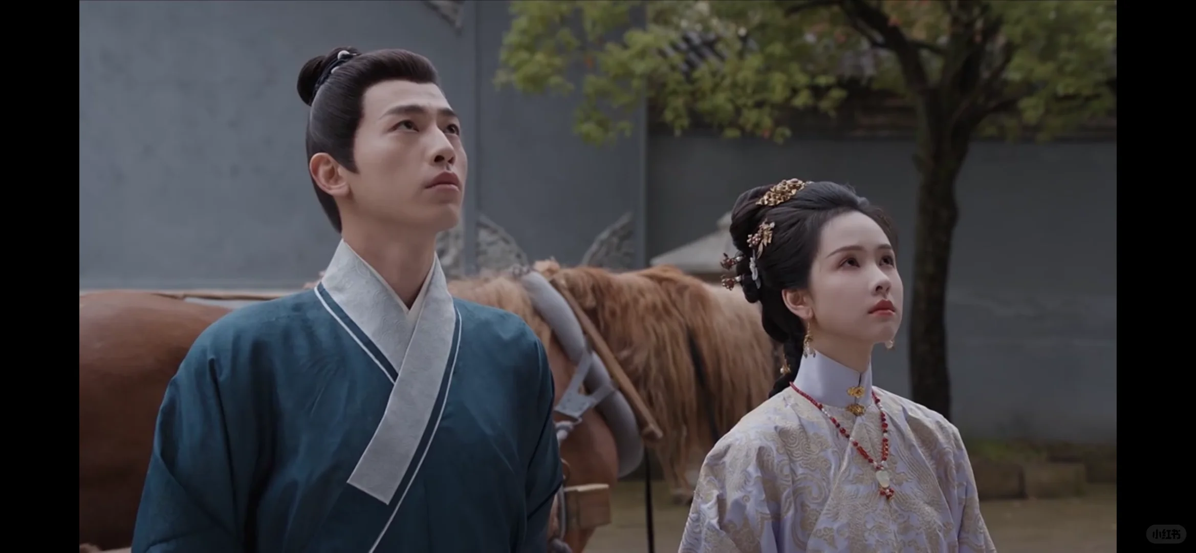 很多宝贝都在用的勉废追剧软件，我分享出来