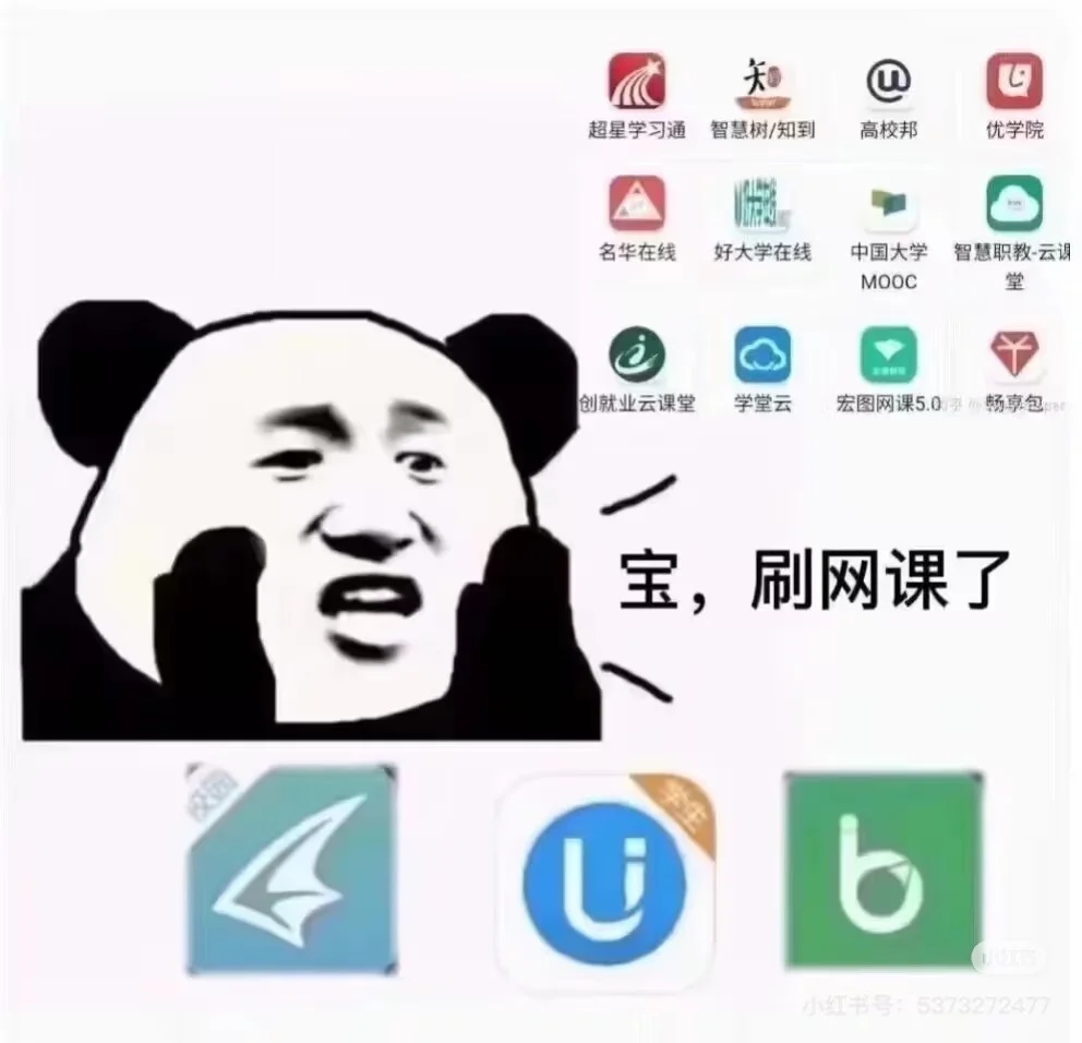 网课呆呆刷超低💰