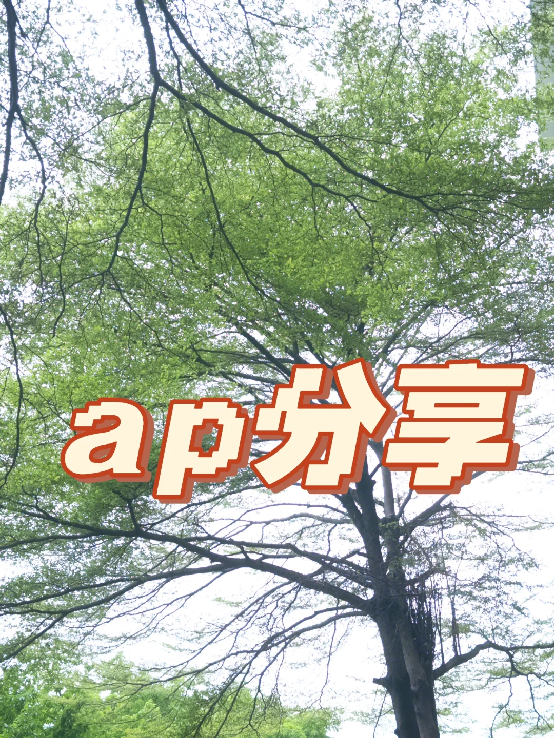 ap分享