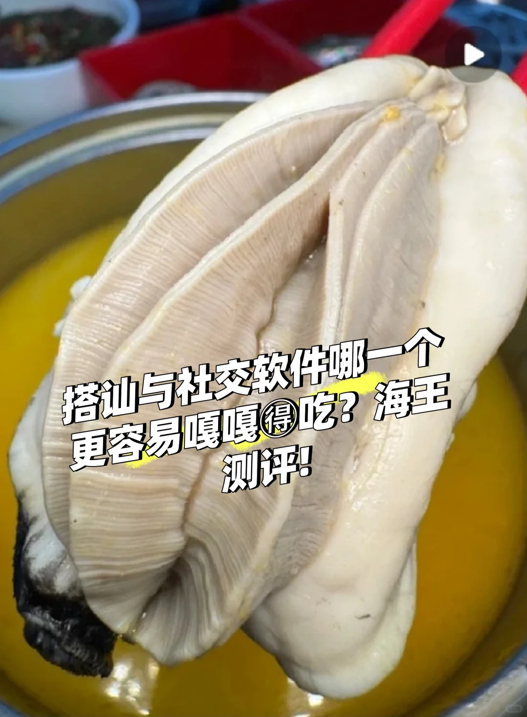 海王测评社交软件得。吃率（1）