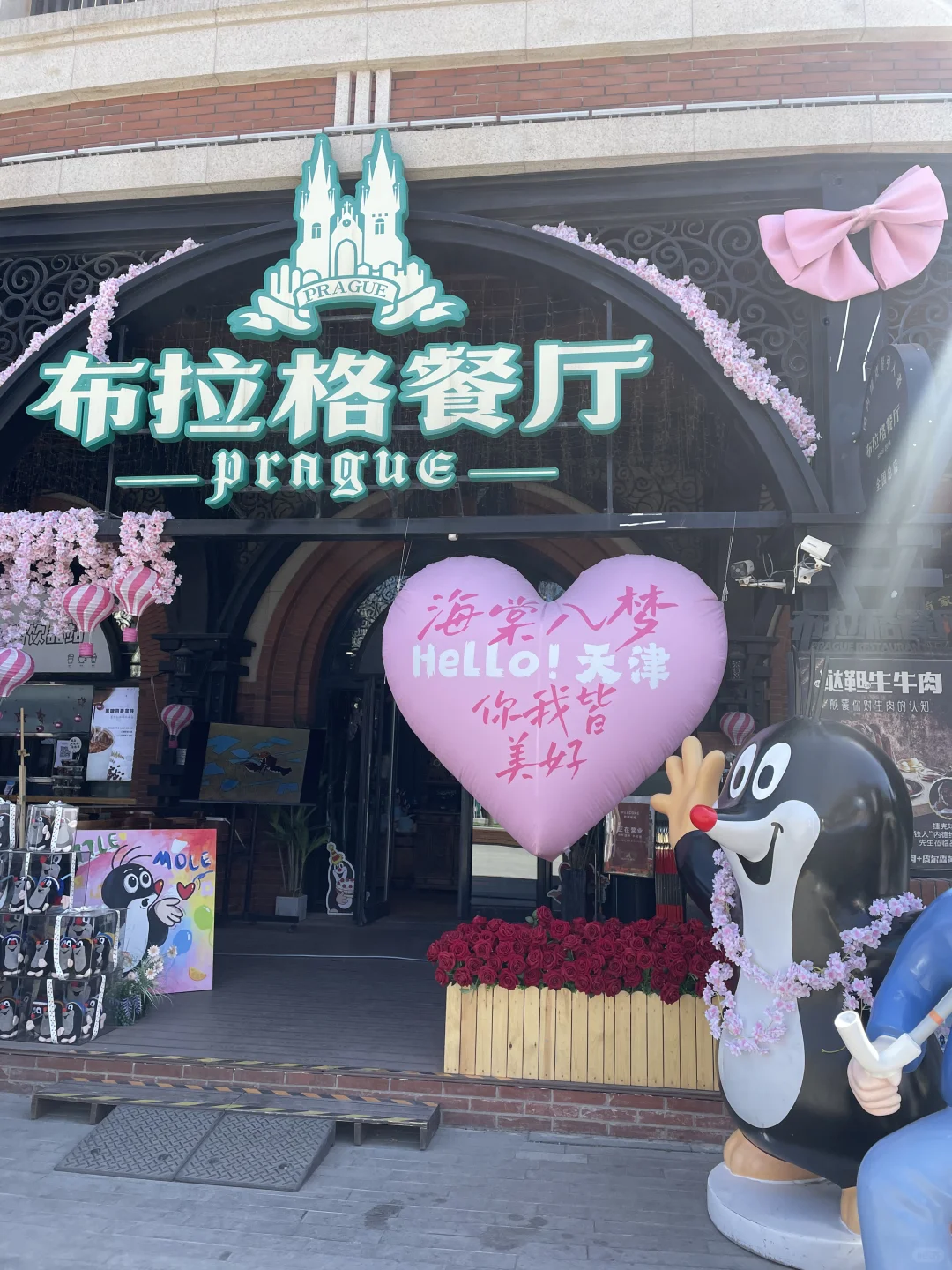 求推荐代理记账的财务软件呢？