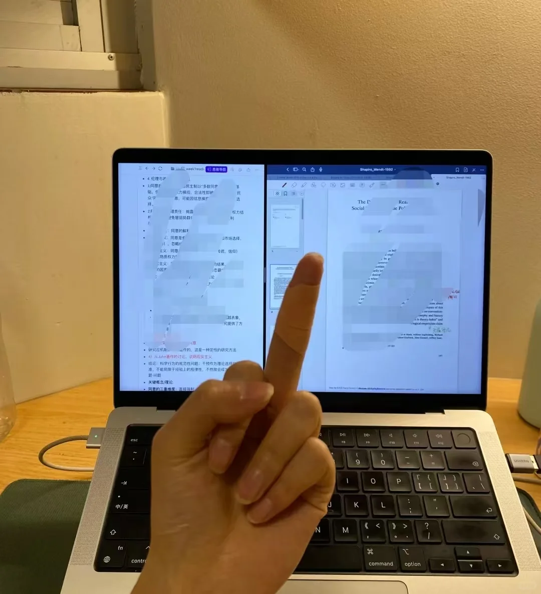 一晚上降重成功的心得