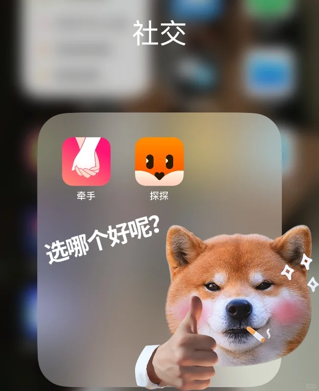 牵手vs探探｜母单大实话！