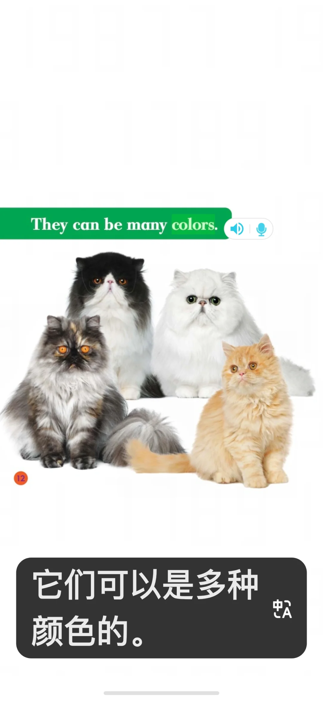 这个软件学英语太好用了吧‼️