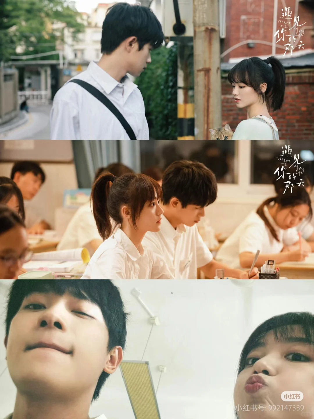 哇，追剧软件！！！