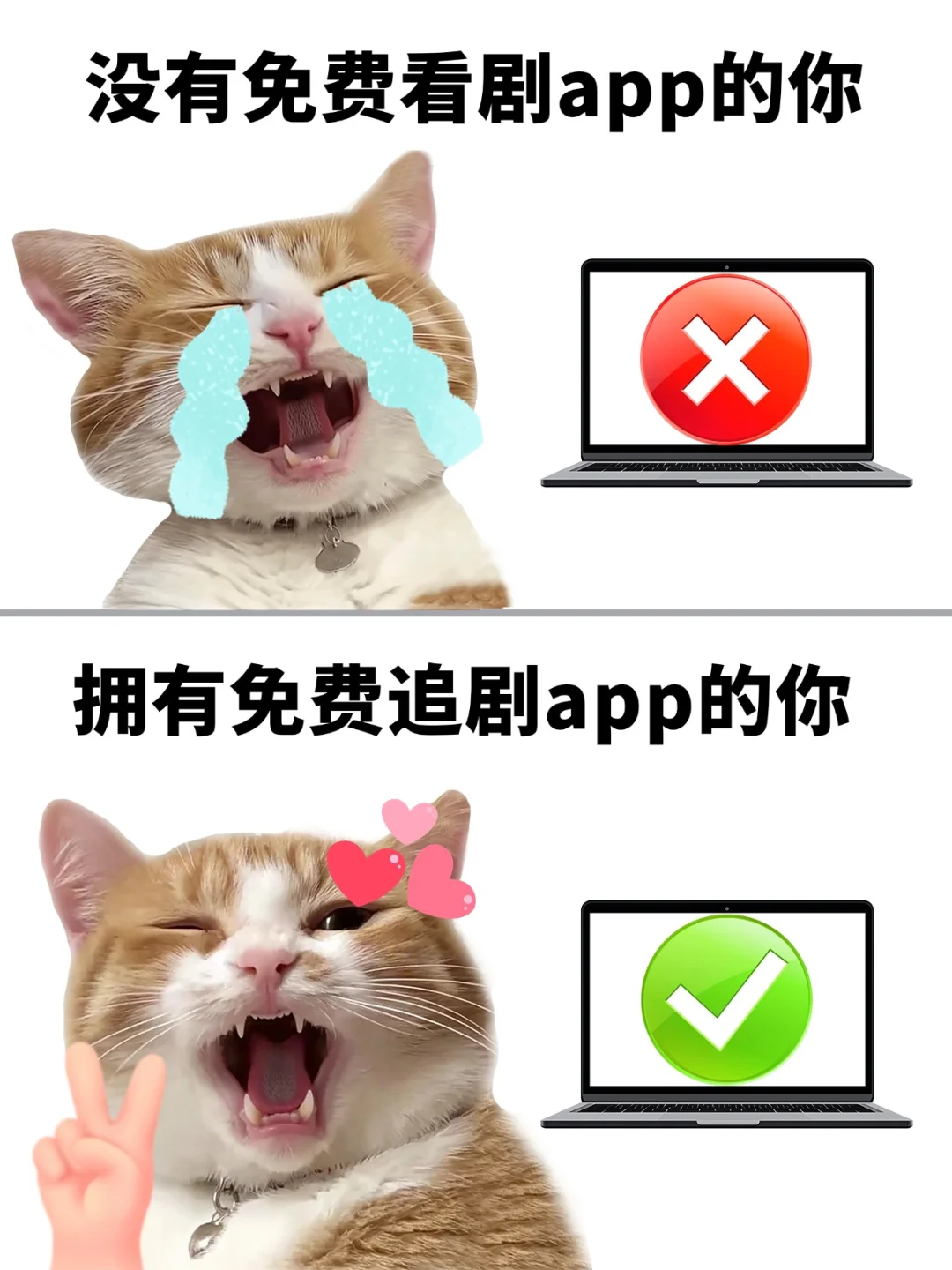 牛！免费看剧软件 app 好片追不停😎
