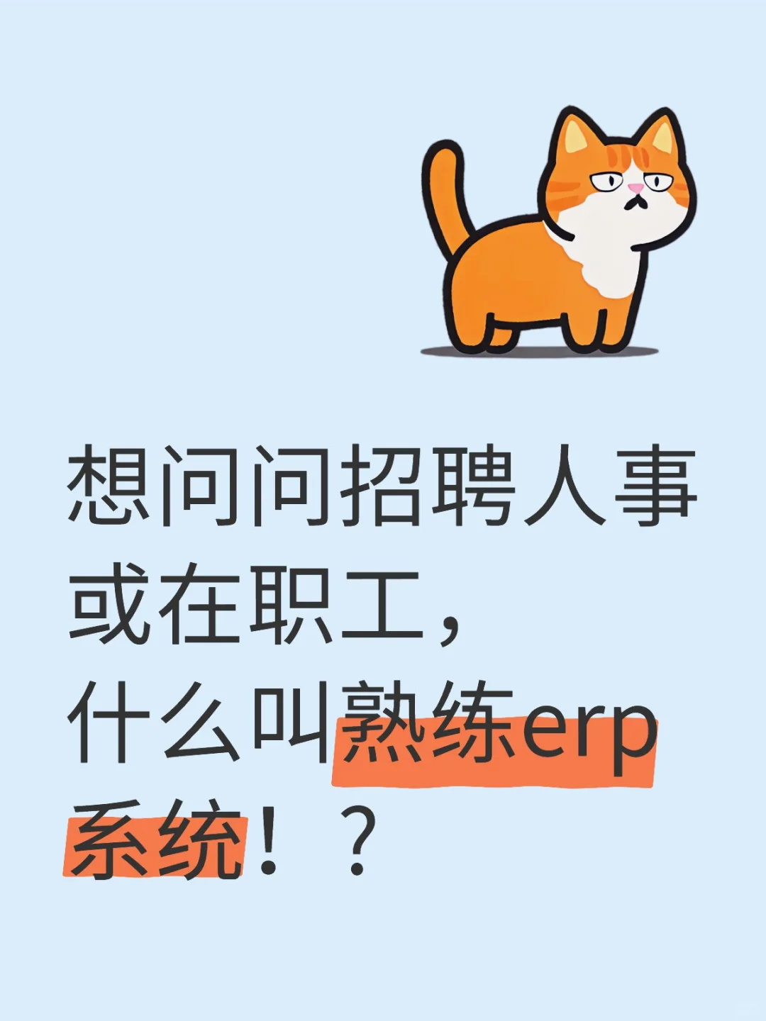 这个erp系统指什么