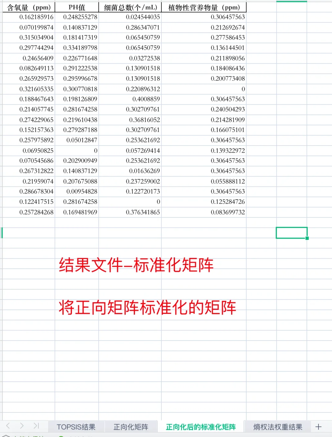 熵权TOPSIS在线计算软件，包含步骤word文档
