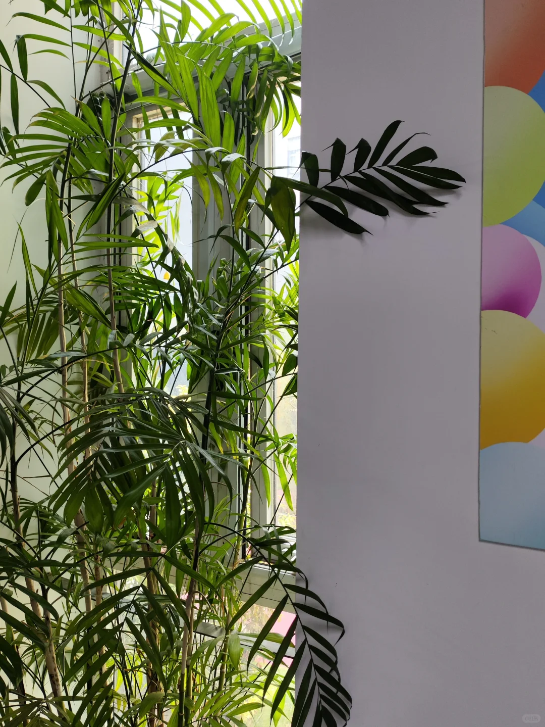 在省会,花不到500,上了一个云财务软件