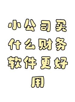 小公司买什么财务软件更好用？