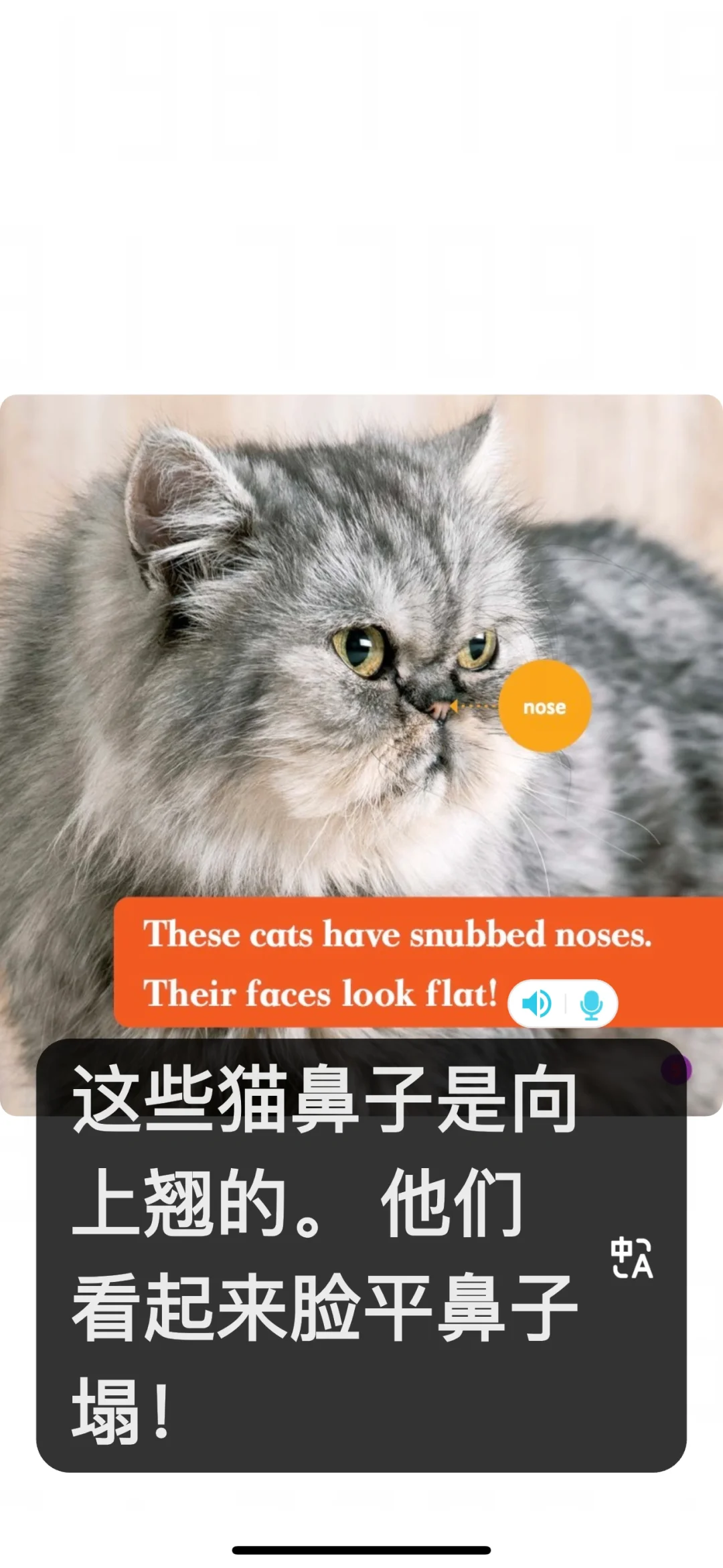 这个软件学英语太好用了吧‼️