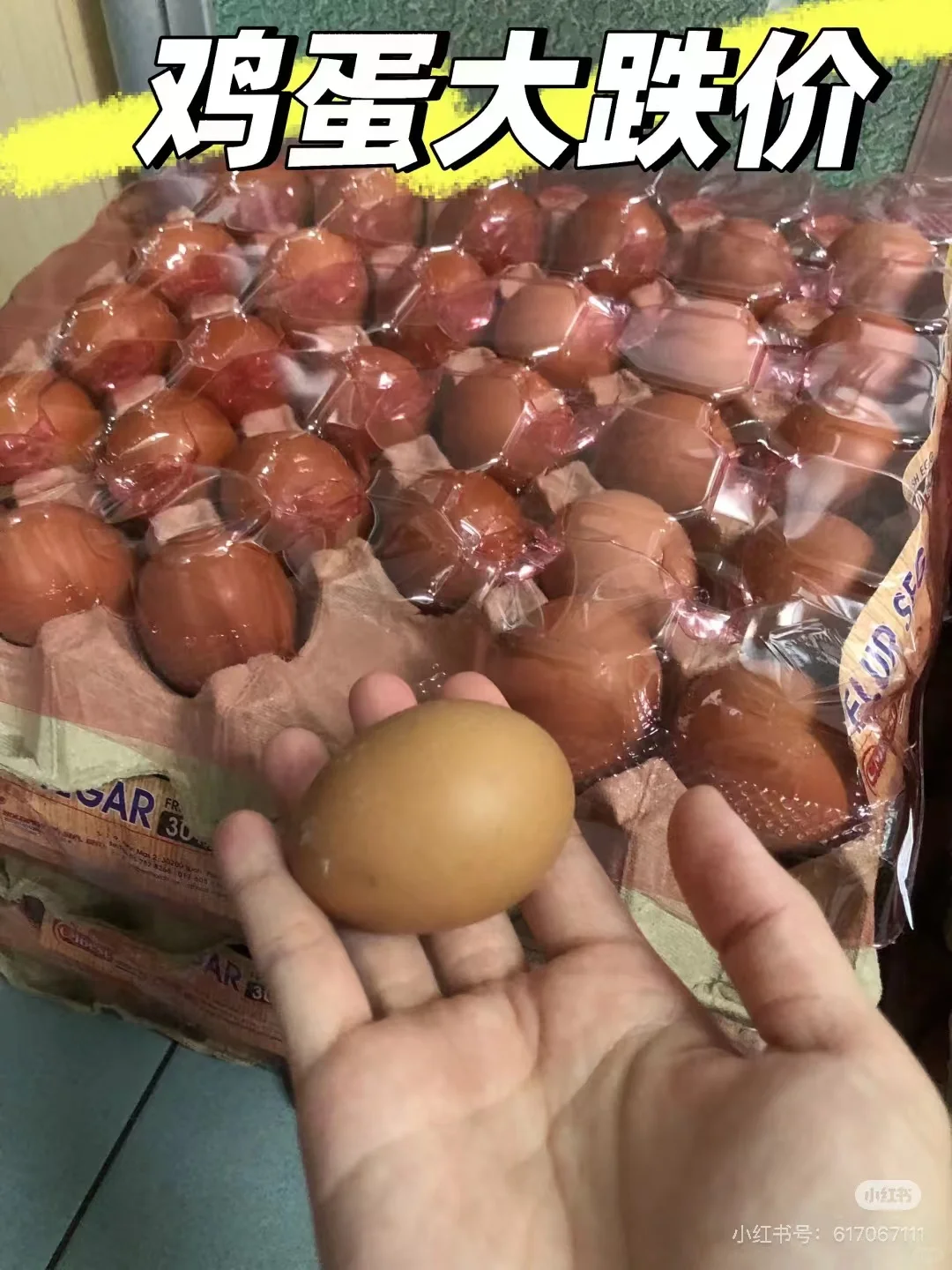 谁说鸡蛋要涨价了，鸡蛋大跌价！！