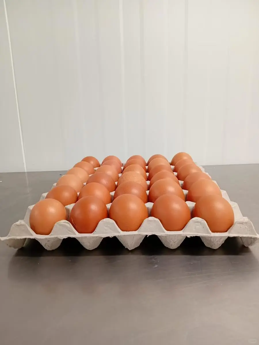 大号走地鸡蛋 一盘30个