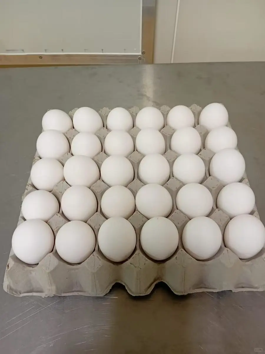 大号走地鸡蛋 一盘30个