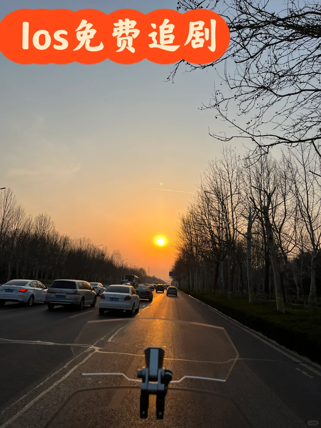 Ios追剧免费app