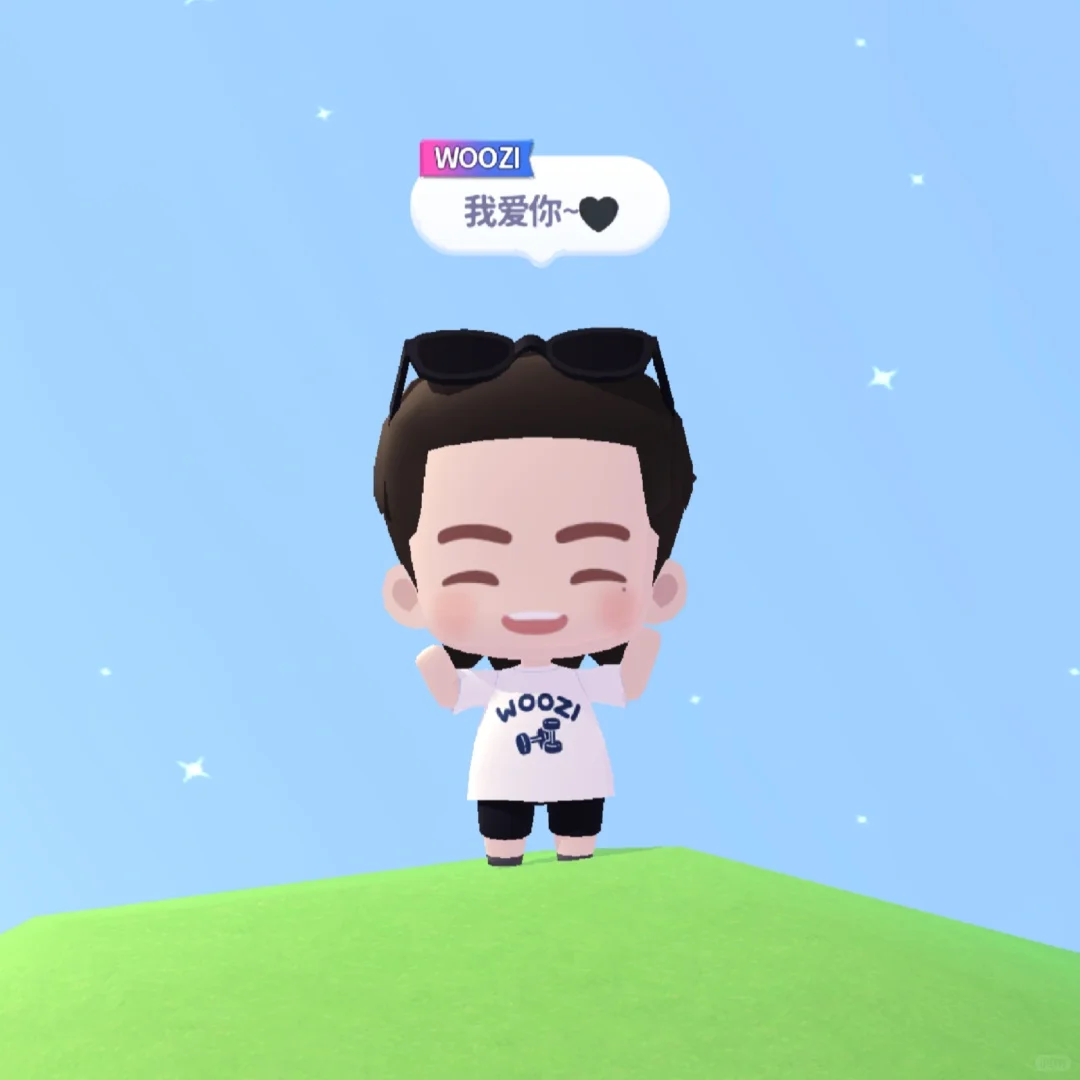 记录一下安卓手机如何安装puzzle svt