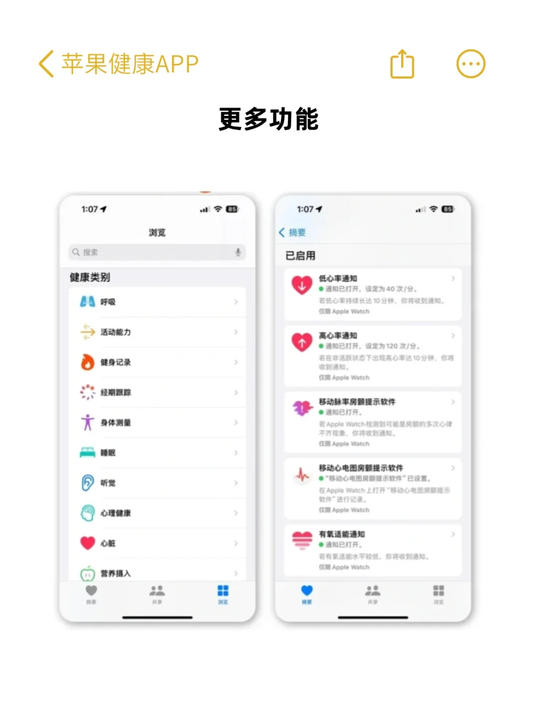 最被低估的苹果【健康】APP！