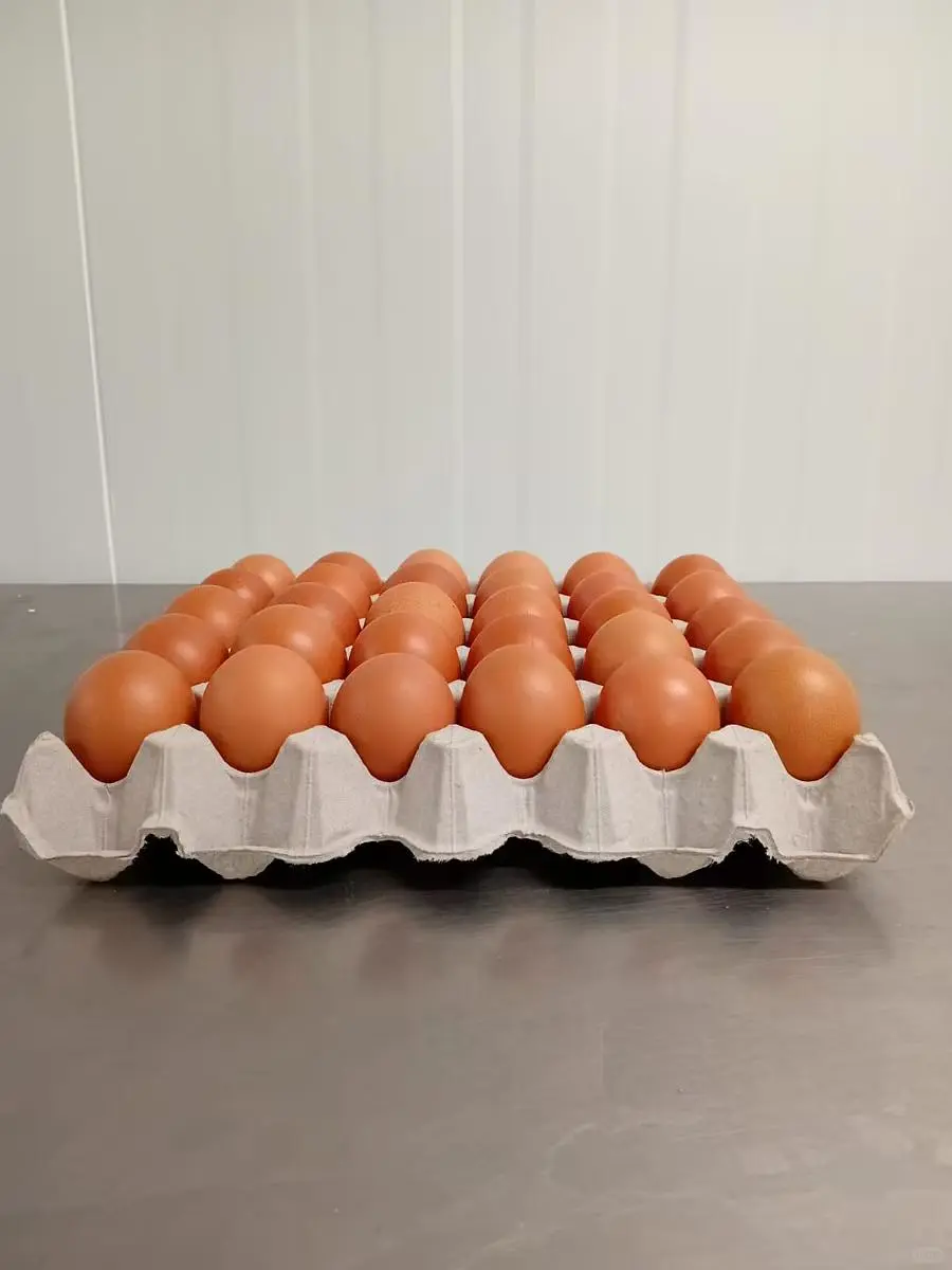 大号走地鸡蛋 一盘30个