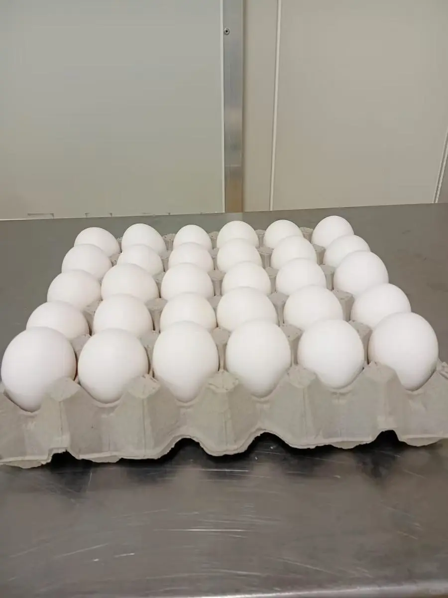 大号走地鸡蛋 一盘30个