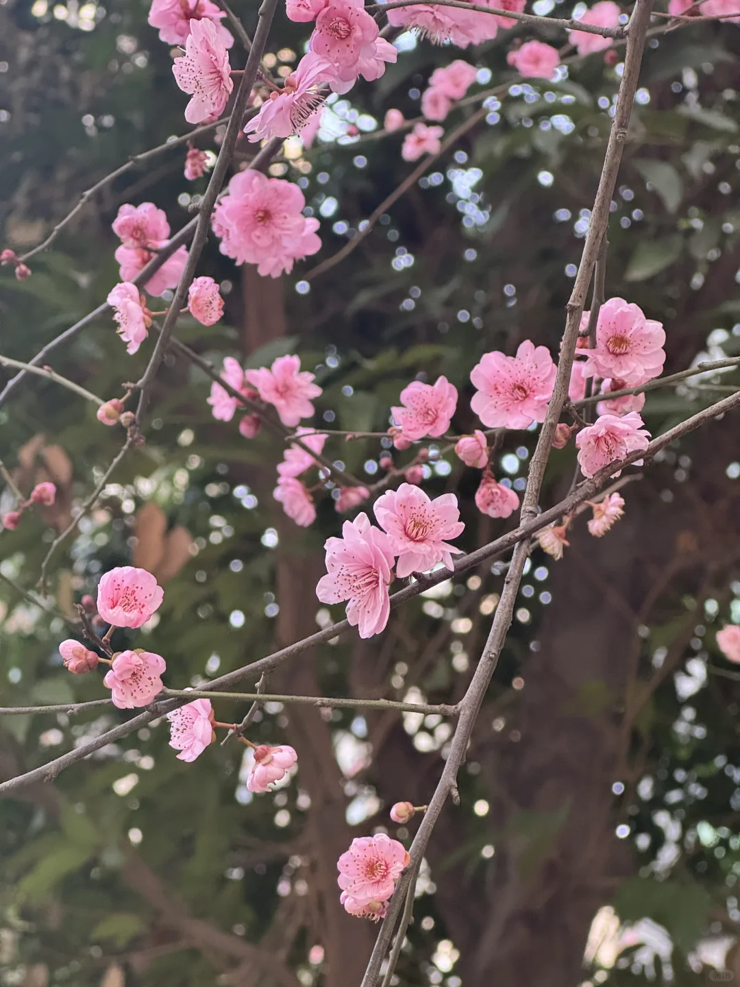 分享一下现在好用的打车软件吧！