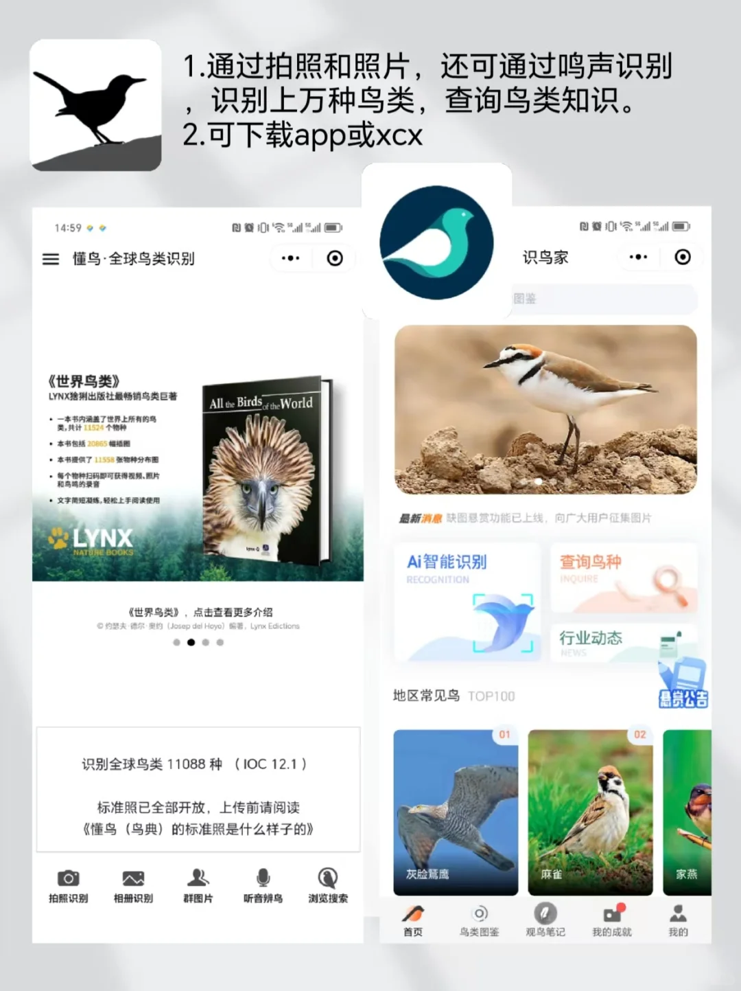 户外遛娃|自然教育必备宝藏app 亲测好用