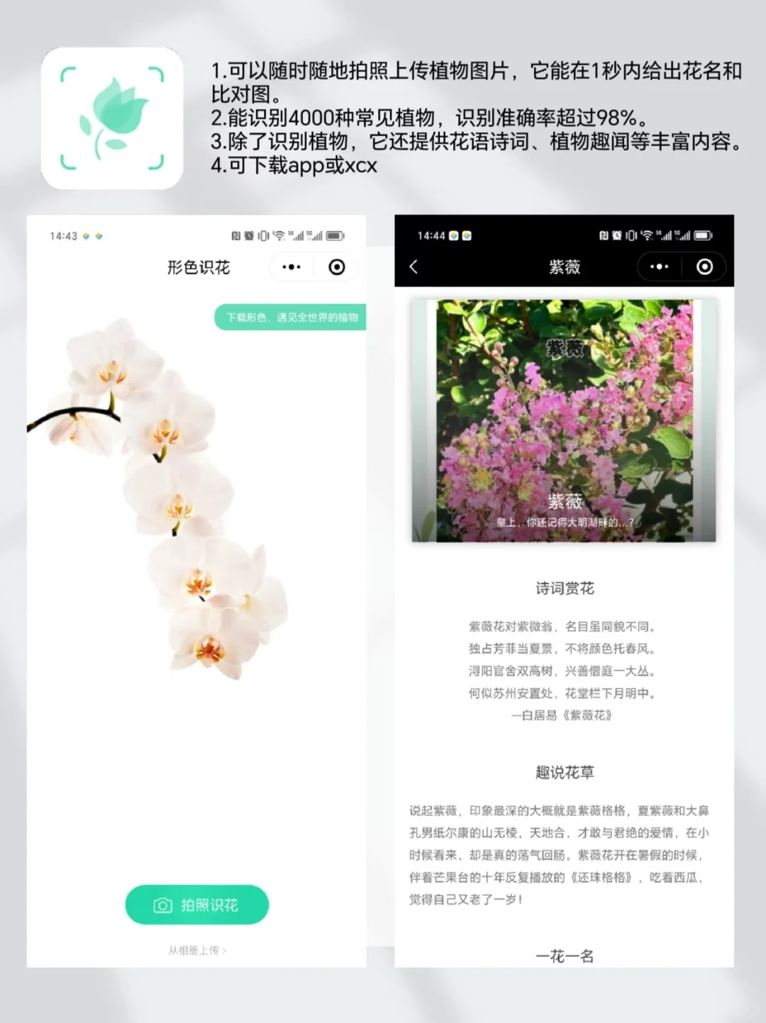 户外遛娃|自然教育必备宝藏app 亲测好用