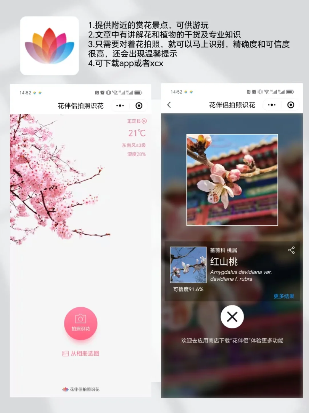 户外遛娃|自然教育必备宝藏app 亲测好用