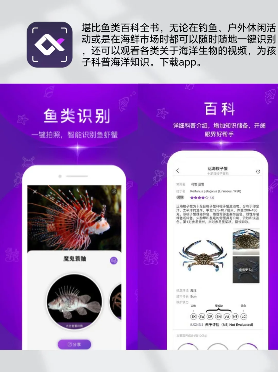 户外遛娃|自然教育必备宝藏app 亲测好用