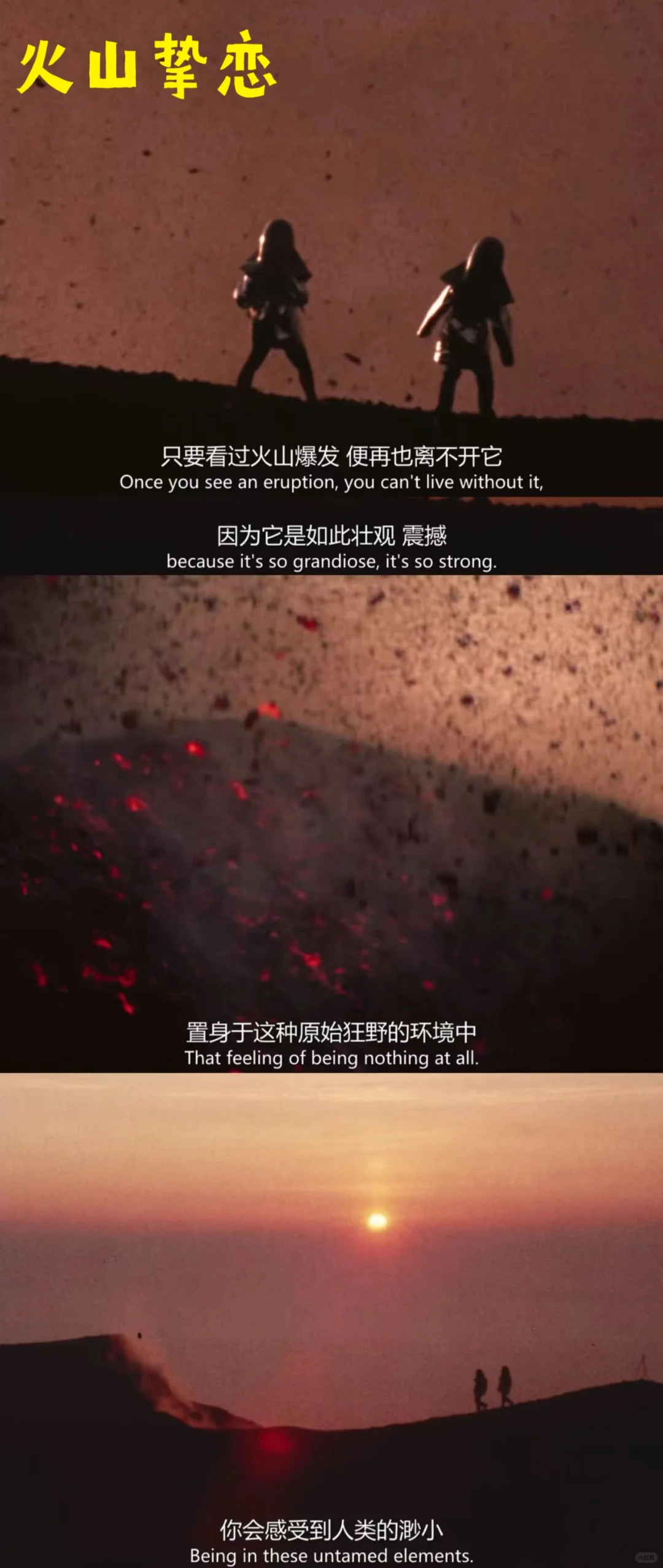 infj的本命电影|电影是另一种人生📽