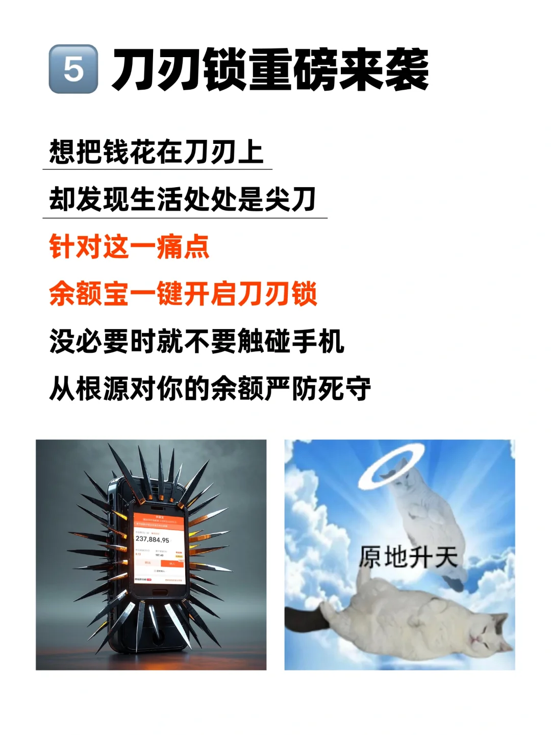 普天同庆，终于出APP啦！