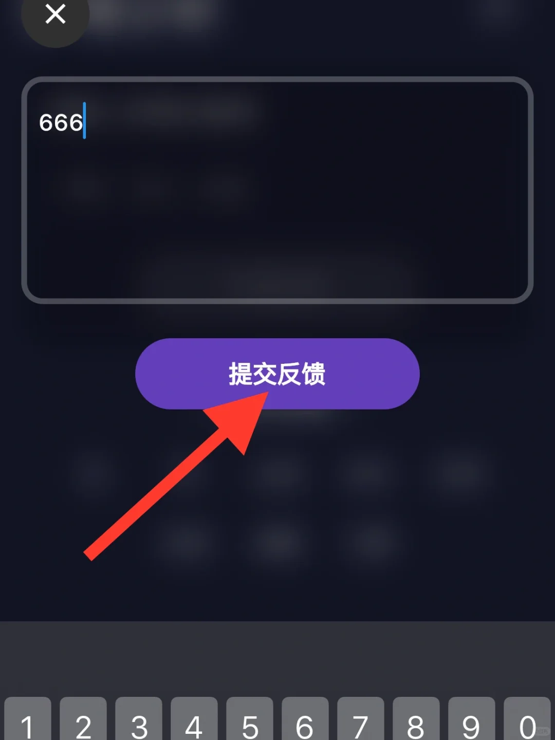 小狐狸｜🍊橘子同款🈶️弹幕