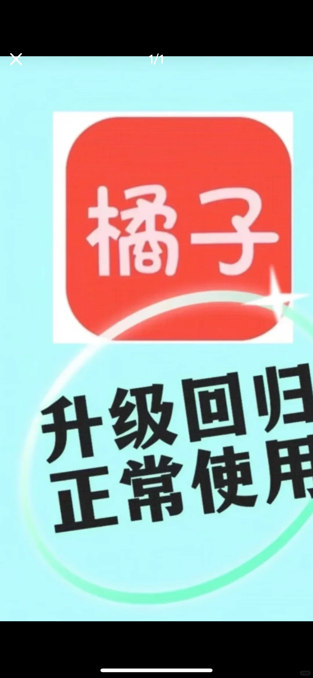 橘子回来啦！！！