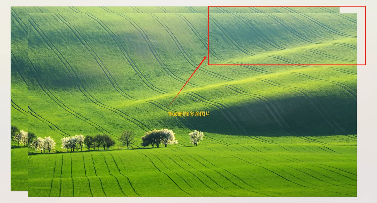 不会做PPT的新手看过来！不用再求别人啦