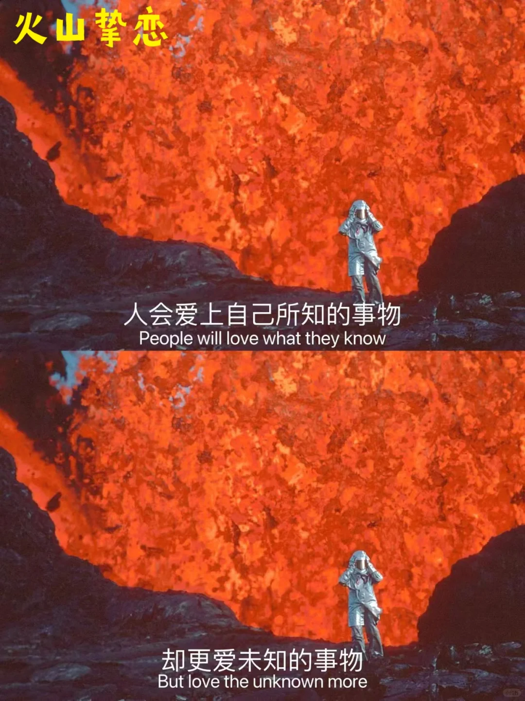 infj的本命电影|电影是另一种人生📽