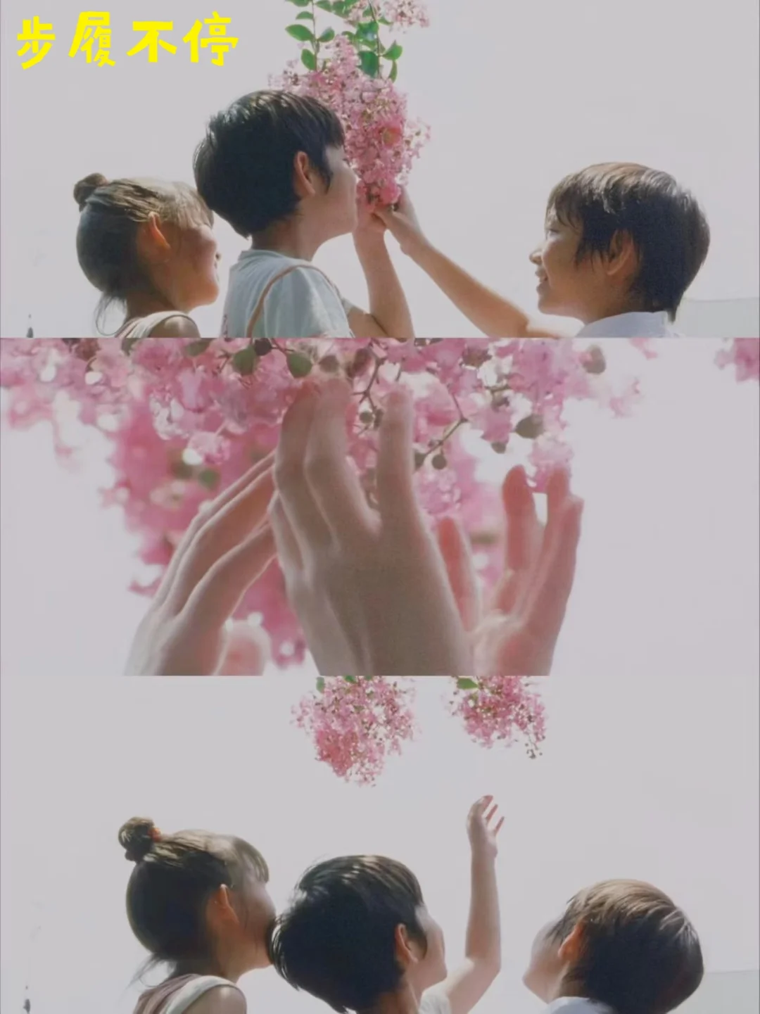 infj的本命电影|电影是另一种人生📽