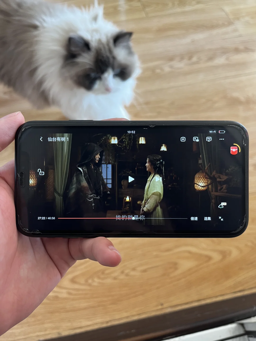 资深追剧人必备技能之免费看剧🎬