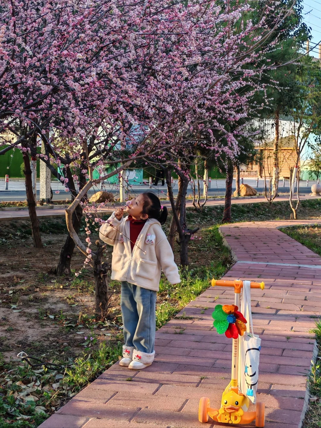 户外遛娃|自然教育必备宝藏app 亲测好用