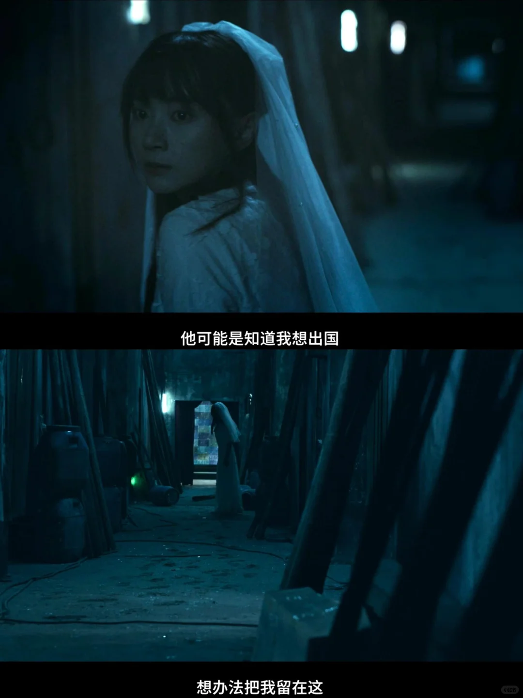 反转不断‼️头皮发麻😱卜冠今悬疑新片鲨疯了