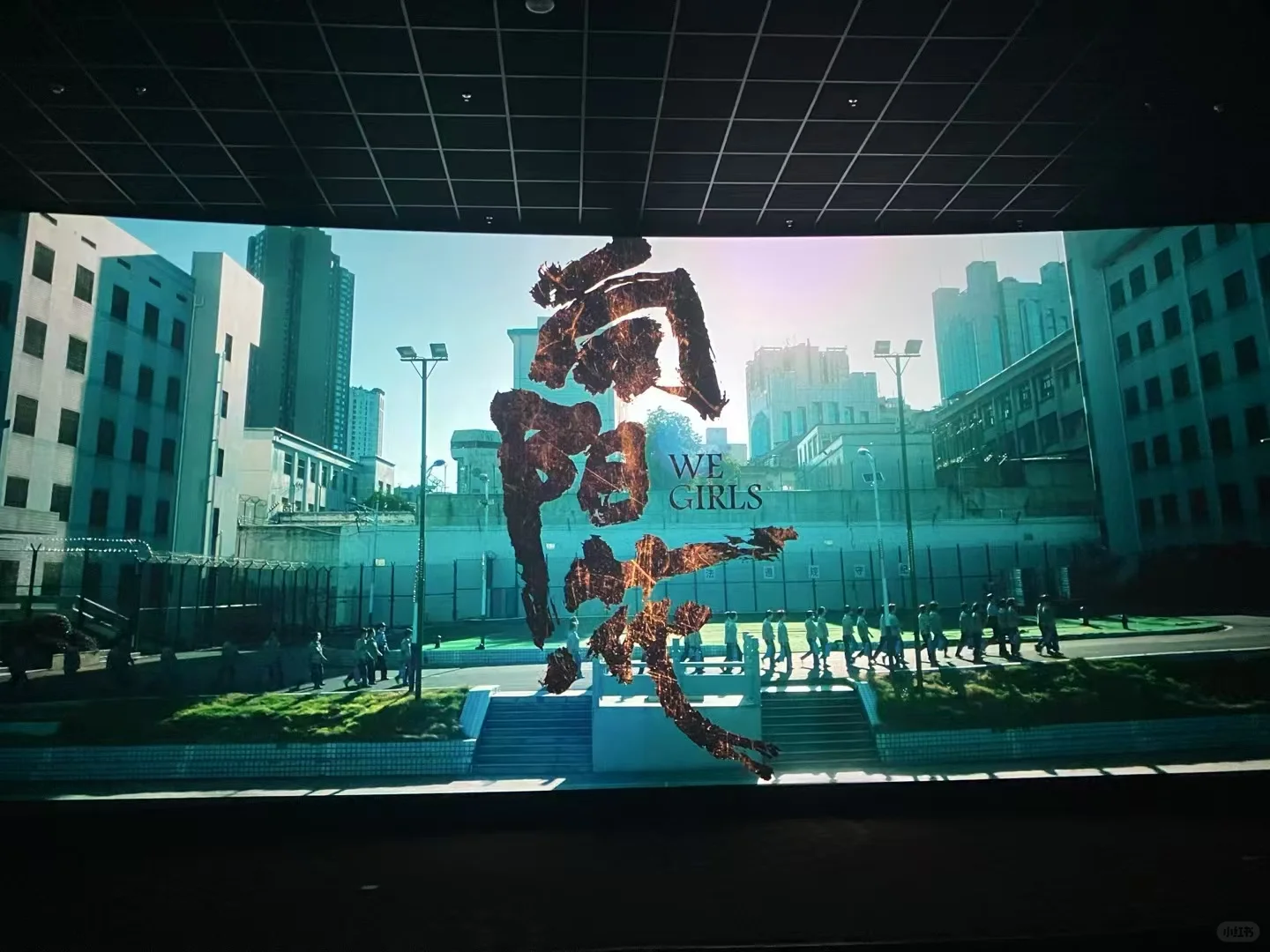 电影《向阳花》｜我不理解的那些豆瓣短评