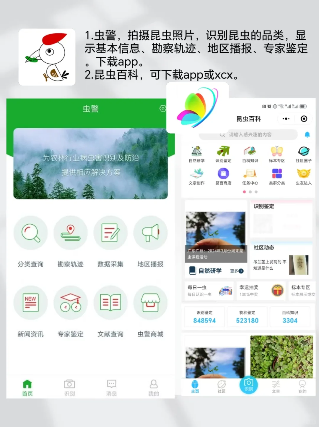 户外遛娃|自然教育必备宝藏app 亲测好用