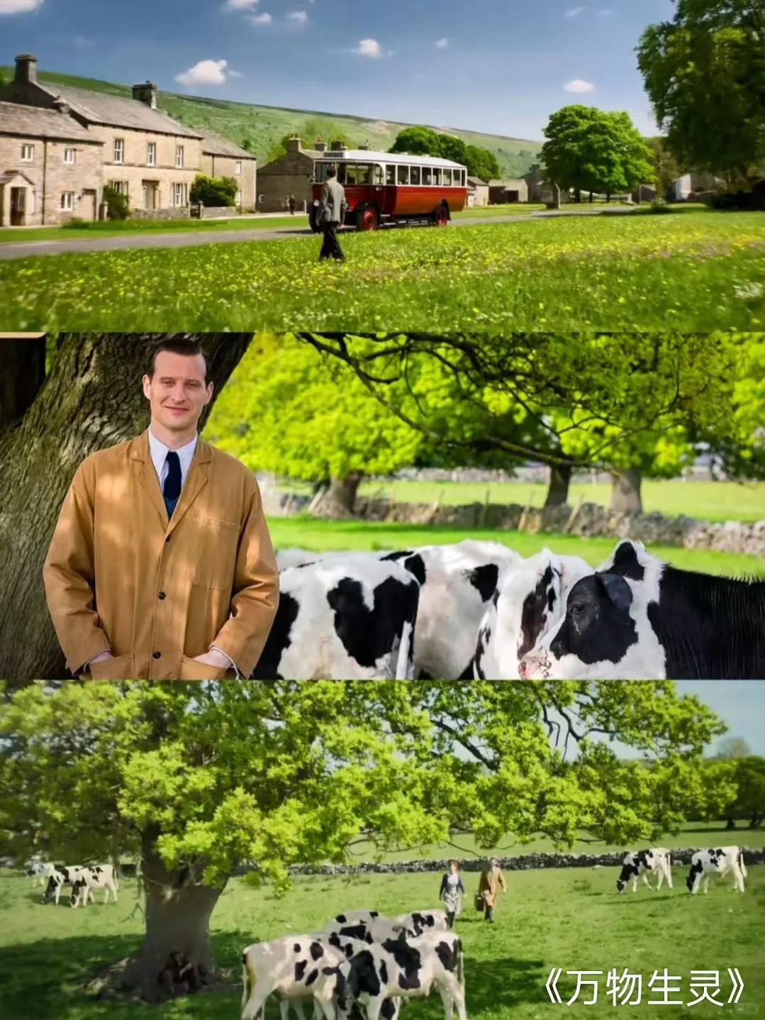 🎬 英伦风电影合集 | 古典浪漫的极致美学