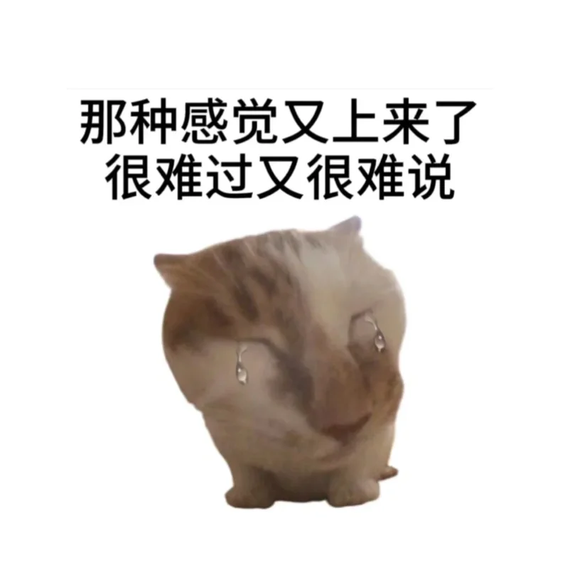 ADHD Pal 安卓上线！