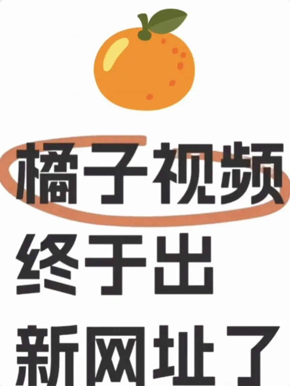 橘子🍊视频终于回归了